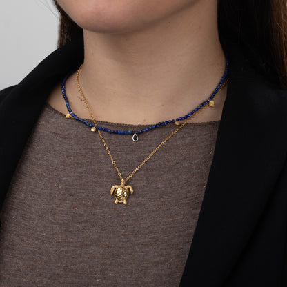 Collar tortuga